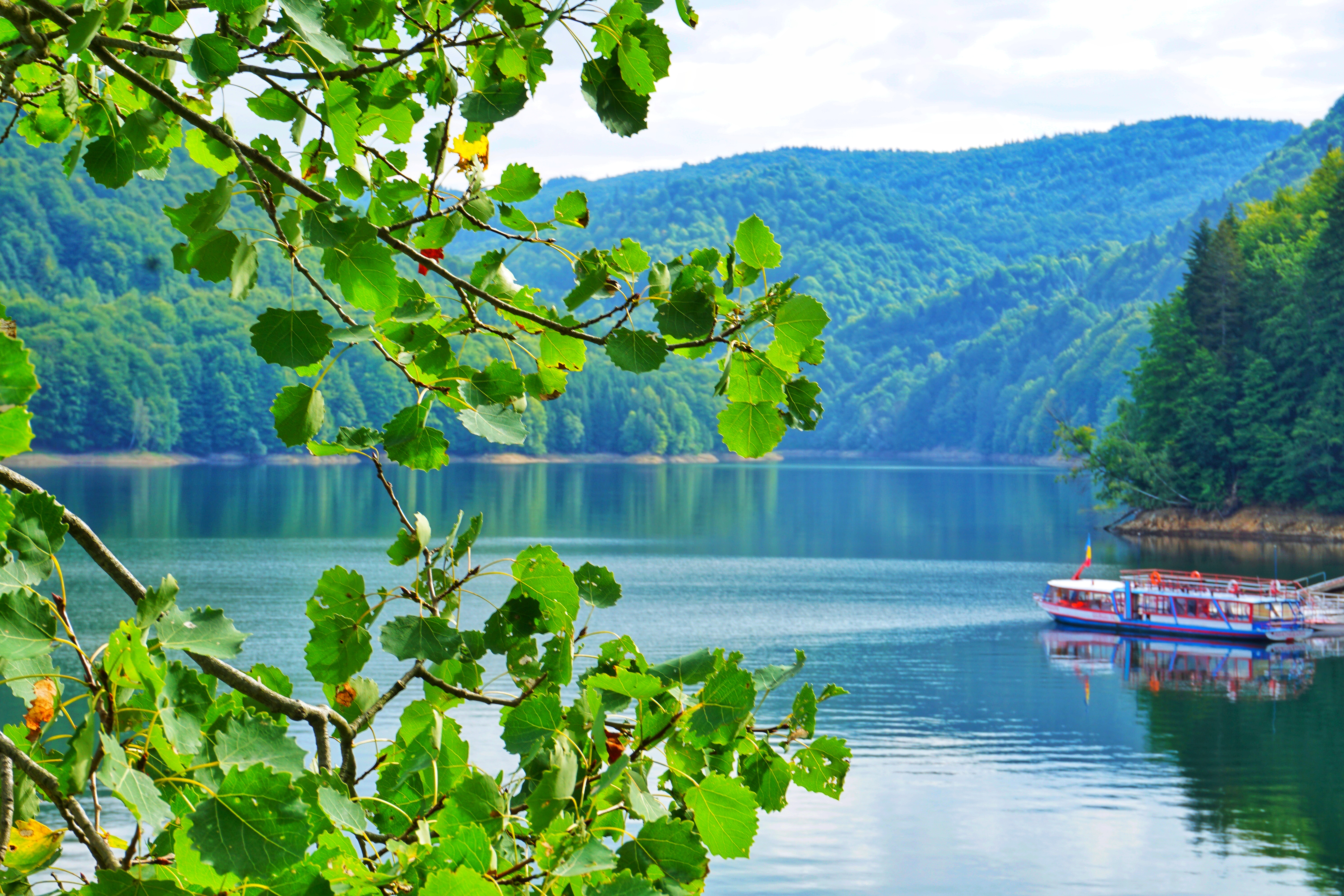 סכר וידרארו
