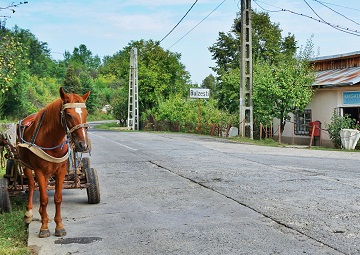 ברומניה סוסים עדיין משמשים ככלי תחבורה